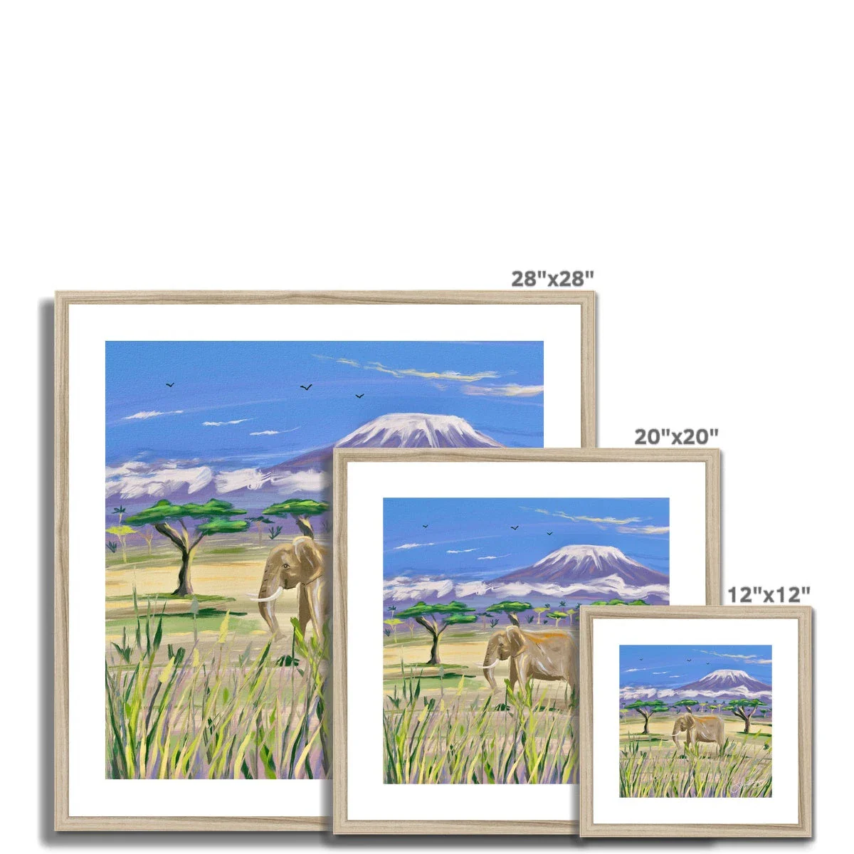John Dyer African Elephant, Framed Open Edition Fine Art Print. Animal Art Prints - Image 12