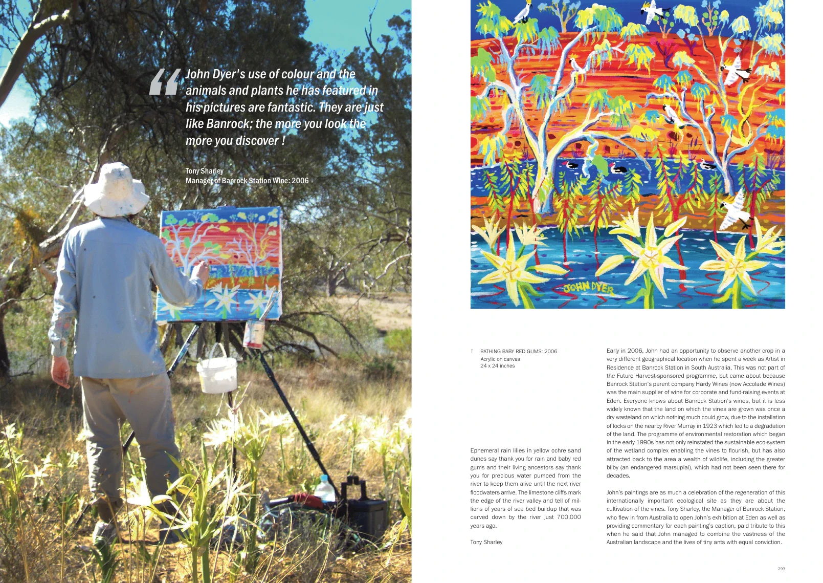Cornish Artist Book about John Dyer. ‘Painting the Colours of the World’. Foreword by Alan Titchmarsh. - Image 14