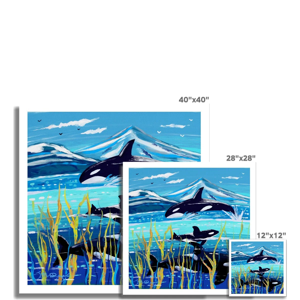 John Dyer Orca - Killer Whale Open Edition Fine Art Print. Animal Art Prints - Image 3