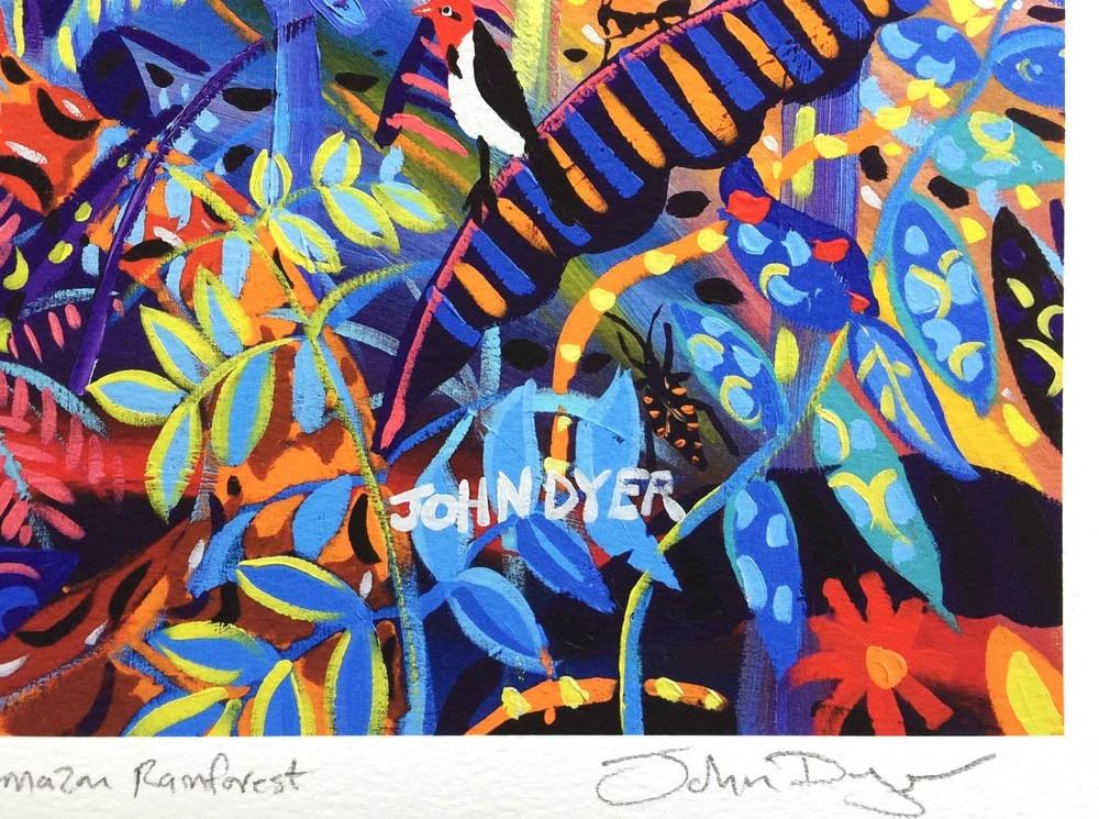 Vana - The Amazon Rainforest Spirit of our Shadows. Limited print by artist John Dyer Eden Project Artist in Residence - Image 5